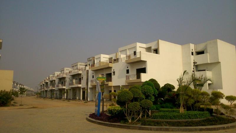 Paramount Golfforeste