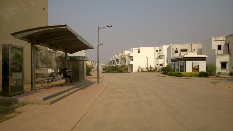 Paramount Golfforeste